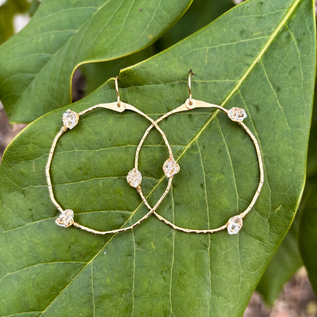 Stargazer Herkimer Diamond Hoop Earrings in 14k gold fill with textured hoops and herkimer diamond quartz, resting on a large green leaf