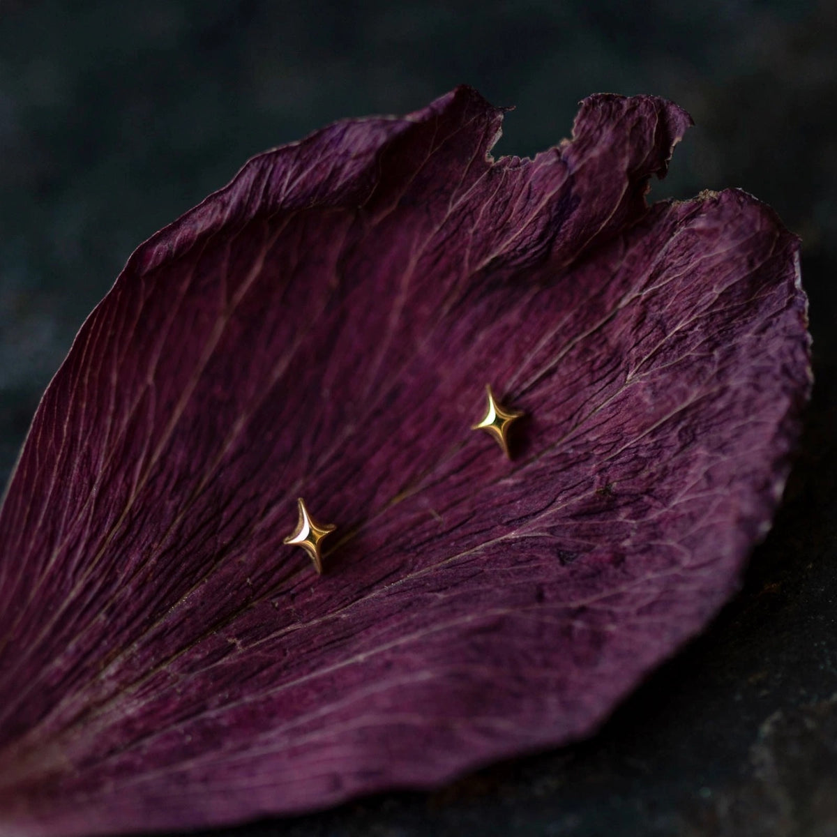 Tiny star stud earrings in solid 14k gold resting on a deep plum flower petal