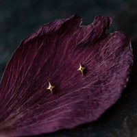 Tiny star stud earrings in solid 14k gold resting on a deep plum flower petal